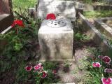image of grave number 665299